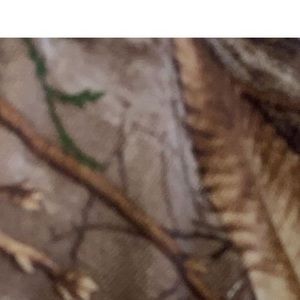 Meet your Posher, Roger